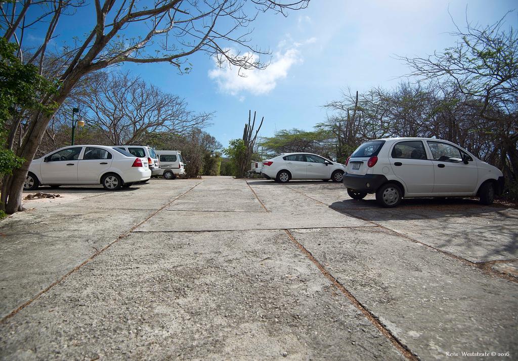 Apartamento Flamingo Park Curacao Willibrordus Exterior foto